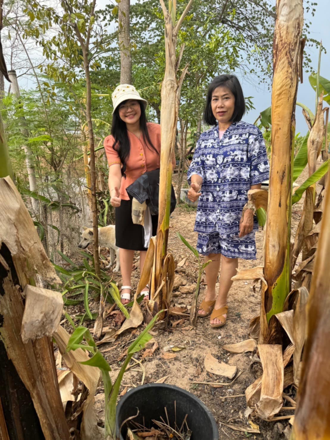 เทศบาลหว้านใหญ่